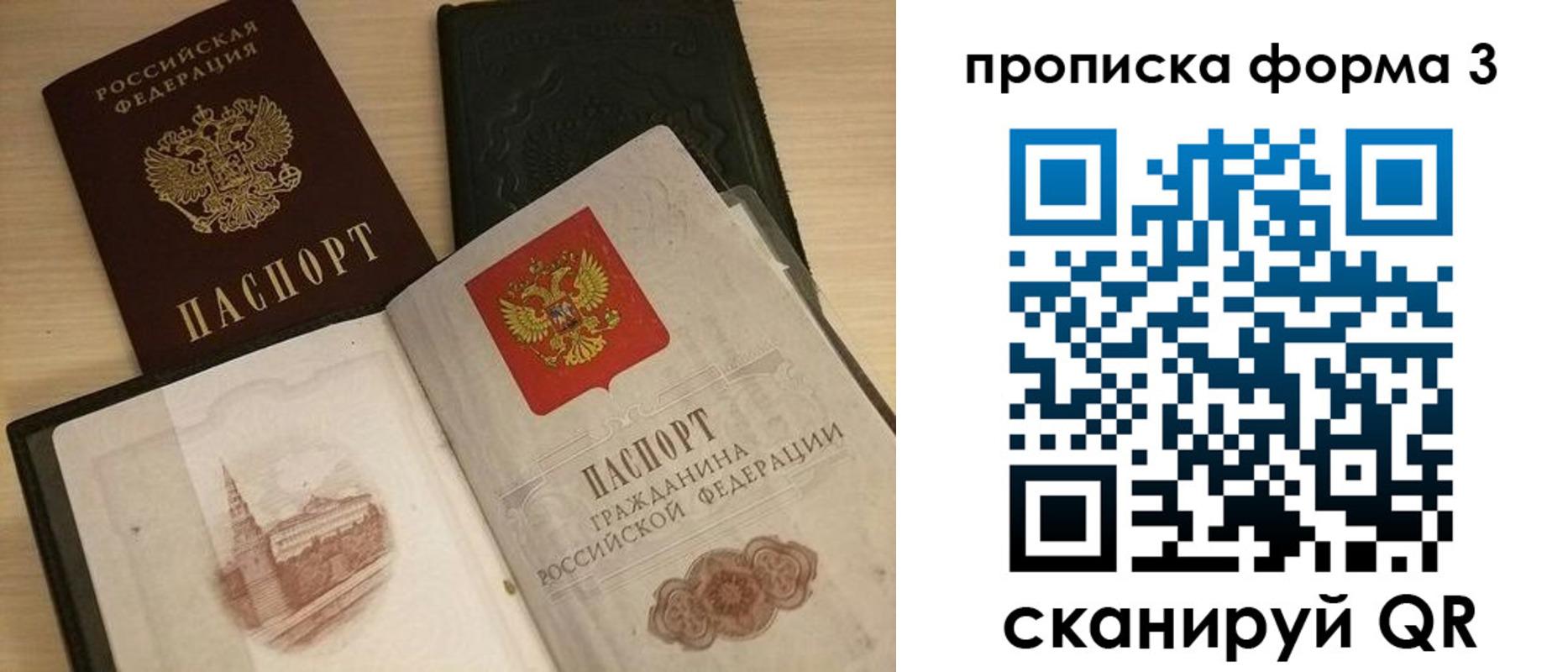 прописка для школы в Камешково